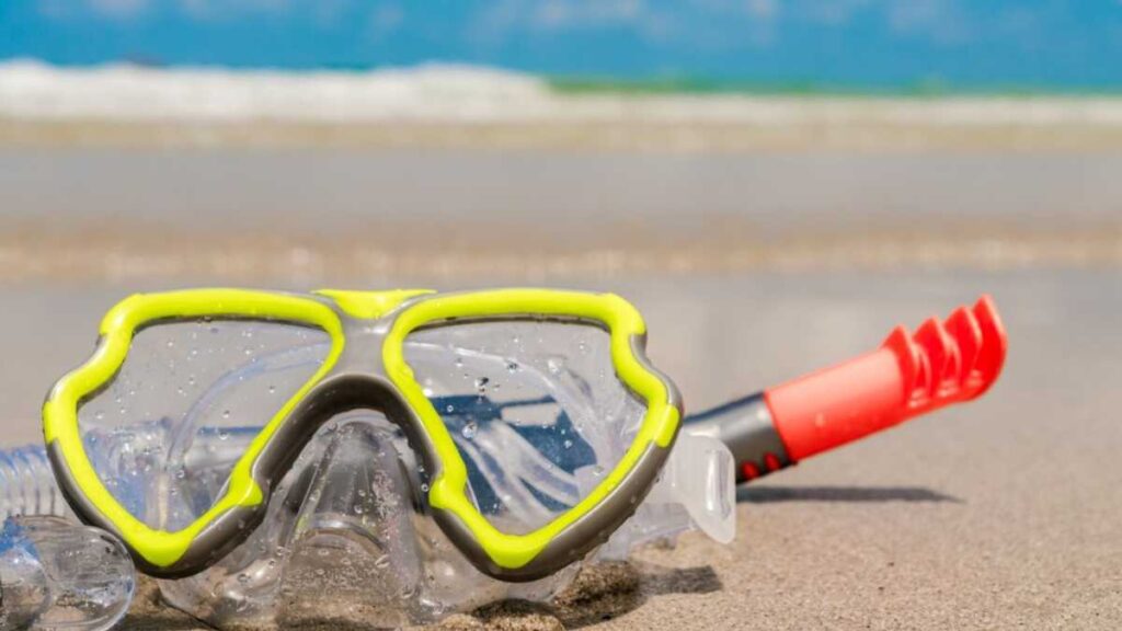 Snorkeling para iniciantes: o que levar e como se preparar